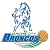 休姆市野马logo