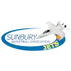 森伯里喷气机logo